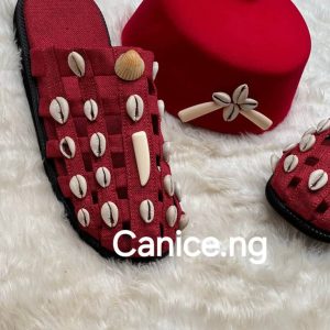 canice shoes2